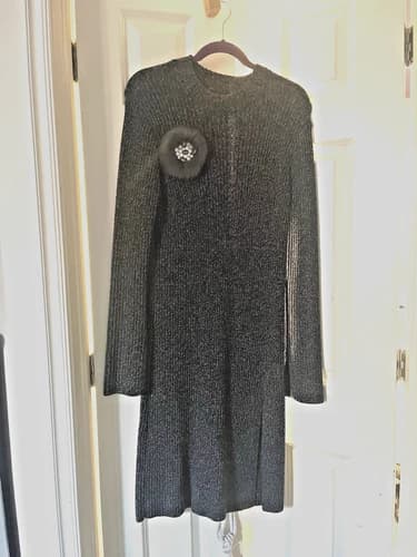 BCBG Knit Sweater Dress with Embellished Feather Broach